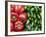 Spain, Barcelona, the Ramblas, la Boqueria Market, Vegetable Shop Display of Peppers-Steve Vidler-Framed Photographic Print