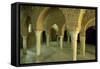 Spain Brick Horseshoe Arches in the Tenth-Century-null-Framed Stretched Canvas