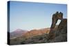 Spain, Canary Island, Tenerife, Teide National Park-null-Stretched Canvas