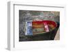 Spain, Canary Islands, Lanzarote, Arecife, Charco De San Gines, Fishing Boat, Dawn-Walter Bibikow-Framed Photographic Print