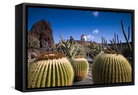 Spain, Canary Islands, Lanzarote, Guatiza, Jardin De Cactus-Walter Bibikow-Framed Stretched Canvas