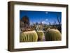 Spain, Canary Islands, Lanzarote, Guatiza, Jardin De Cactus-Walter Bibikow-Framed Photographic Print