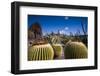 Spain, Canary Islands, Lanzarote, Guatiza, Jardin De Cactus-Walter Bibikow-Framed Photographic Print