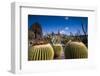 Spain, Canary Islands, Lanzarote, Guatiza, Jardin De Cactus-Walter Bibikow-Framed Photographic Print