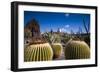 Spain, Canary Islands, Lanzarote, Guatiza, Jardin De Cactus-Walter Bibikow-Framed Photographic Print