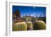 Spain, Canary Islands, Lanzarote, Guatiza, Jardin De Cactus-Walter Bibikow-Framed Photographic Print