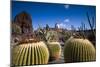 Spain, Canary Islands, Lanzarote, Guatiza, Jardin De Cactus-Walter Bibikow-Mounted Photographic Print