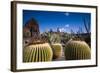 Spain, Canary Islands, Lanzarote, Guatiza, Jardin De Cactus-Walter Bibikow-Framed Photographic Print