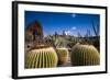 Spain, Canary Islands, Lanzarote, Guatiza, Jardin De Cactus-Walter Bibikow-Framed Photographic Print