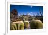 Spain, Canary Islands, Lanzarote, Guatiza, Jardin De Cactus-Walter Bibikow-Framed Photographic Print