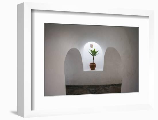 Spain, Canary Islands, Lanzarote, Oasis De Nazaret, Lagomar-Walter Bibikow-Framed Photographic Print