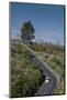 Spain, Canary Islands, Tenerife, Valle De La Orotava, Elevated View of the Tf 21 Road-Walter Bibikow-Mounted Photographic Print