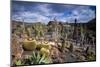 Spain, Canary Islands-Walter Bibikow-Mounted Photographic Print