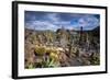 Spain, Canary Islands-Walter Bibikow-Framed Photographic Print