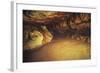 Spain, Cantabria, Santander Surroundings, Altamira Cave, Upper Paleolithic Cave Paintings-null-Framed Giclee Print