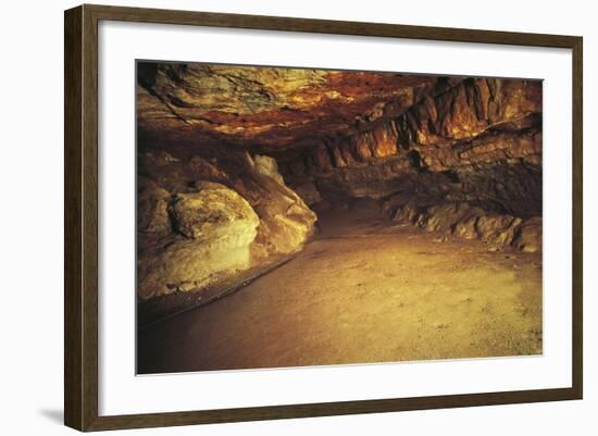 Spain, Cantabria, Santander Surroundings, Altamira Cave, Upper Paleolithic Cave Paintings-null-Framed Giclee Print