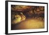 Spain, Cantabria, Santander Surroundings, Altamira Cave, Upper Paleolithic Cave Paintings-null-Framed Giclee Print