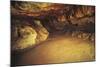 Spain, Cantabria, Santander Surroundings, Altamira Cave, Upper Paleolithic Cave Paintings-null-Mounted Giclee Print