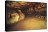 Spain, Cantabria, Santander Surroundings, Altamira Cave, Upper Paleolithic Cave Paintings-null-Stretched Canvas