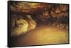 Spain, Cantabria, Santander Surroundings, Altamira Cave, Upper Paleolithic Cave Paintings-null-Framed Stretched Canvas