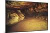 Spain, Cantabria, Santander Surroundings, Altamira Cave, Upper Paleolithic Cave Paintings-null-Mounted Giclee Print