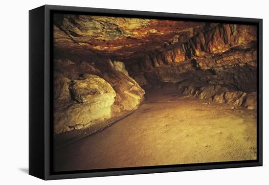 Spain, Cantabria, Santander Surroundings, Altamira Cave, Upper Paleolithic Cave Paintings-null-Framed Stretched Canvas
