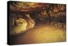 Spain, Cantabria, Santander Surroundings, Altamira Cave, Upper Paleolithic Cave Paintings-null-Stretched Canvas