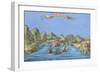 Spain. Cap De Quiers (Cadaques). City Panorama. French. 17th Century. Coloured. Spain-null-Framed Giclee Print