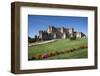 Spain, Castile and Leon, Segovia, Coca, Coca Castle (Castillo de Coca)-Samuel Magal-Framed Photographic Print