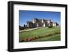 Spain, Castile and Leon, Segovia, Coca, Coca Castle (Castillo de Coca)-Samuel Magal-Framed Photographic Print