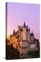 Spain, Castile and Leon, Segovia. the Alcazar and Cathedral at Sunset-Matteo Colombo-Stretched Canvas