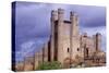 Spain, Castile and Leon, Valencia De Don Juan, Coyanza Castle-null-Stretched Canvas