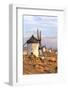 Spain, Castile–La Mancha, Consuegra. Famous Windmills-Matteo Colombo-Framed Photographic Print