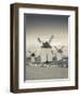 Spain, Castile-La Mancha Region, Ciudad Real Province, La Mancha Area, Campo De Criptana, Antique L-Walter Bibikow-Framed Premium Photographic Print