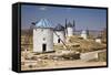 Spain, Castile-La Mancha, Toledo, Consuegra. La Mancha windmills.-Julie Eggers-Framed Stretched Canvas