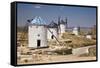 Spain, Castile-La Mancha, Toledo, Consuegra. La Mancha windmills.-Julie Eggers-Framed Stretched Canvas