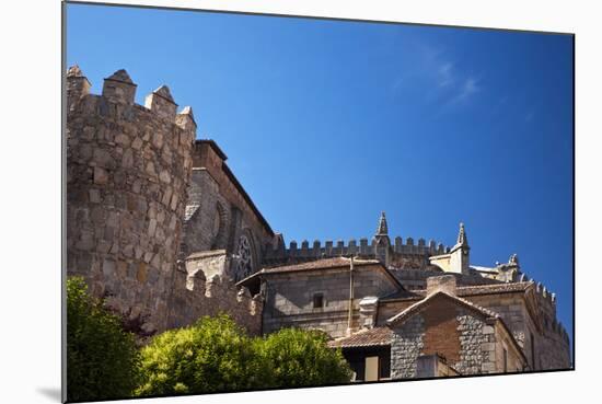 Spain, Castilla y Leon Region, Avila. Avila Cathedral detail.-Julie Eggers-Mounted Photographic Print