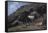 Spain, Catalan Folk Festival-Jose Maria Velasco-Framed Stretched Canvas