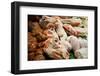 Spain, Catalonia, Barcelona, Market La Boqueria, Meat Section, Fresh Meat-Rainer Mirau-Framed Photographic Print