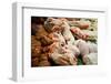 Spain, Catalonia, Barcelona, Market La Boqueria, Meat Section, Fresh Meat-Rainer Mirau-Framed Photographic Print