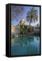 Spain, Catalonia, Barcelona, Parc De La Ciutadella, Wells, Palm-Rainer Mirau-Framed Stretched Canvas