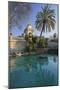 Spain, Catalonia, Barcelona, Parc De La Ciutadella, Wells, Palm-Rainer Mirau-Mounted Photographic Print