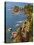 Spain, Catalonia, Costa Brava, Tossa De Mar, Overview of Bay-Shaun Egan-Stretched Canvas