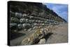 Spain, Catalonia, La Escala, Roman Ampurias, City Walls-null-Stretched Canvas