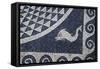 Spain, Catalonia, La Escala, Roman Ampurias, Fish Geometric Floor Mosaic-null-Framed Stretched Canvas