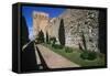 Spain, Catalonia, Tarragona, Roman Walls-null-Framed Stretched Canvas