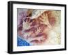 Spain, Cave of Altimira, Rock Art Paintings of Animals, UNESCO Site-Christian Kober-Framed Photographic Print