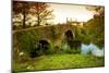 Spain, Galicia, an Old Bridge on the Camino Di Santiago-Ken Scicluna-Mounted Premium Photographic Print