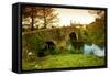 Spain, Galicia, an Old Bridge on the Camino Di Santiago-Ken Scicluna-Framed Stretched Canvas