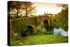 Spain, Galicia, an Old Bridge on the Camino Di Santiago-Ken Scicluna-Stretched Canvas